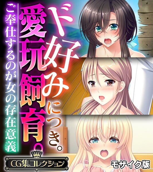 ド好みにつき。愛玩飼育。 〜ご奉仕するのが女の存在意義〜【CG集コレクション】 モザイク版❤大人のSEXY絵本 【フルカラー】★